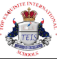 Top Exquisite International School logo